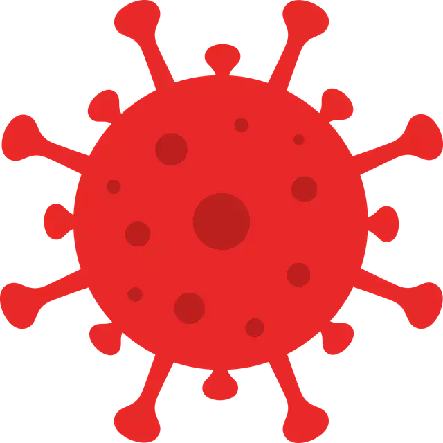 coronavirus